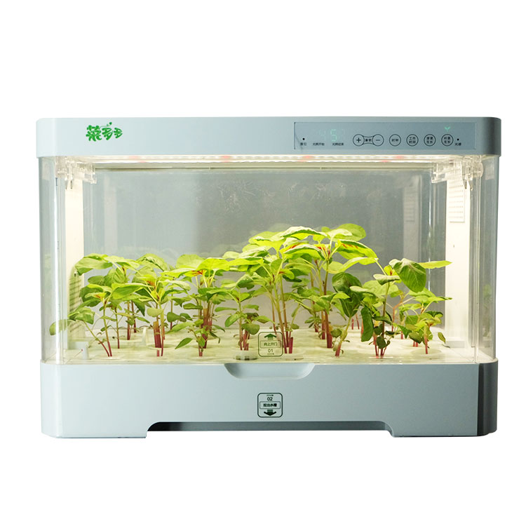 Hydroponic Kit - Piccolo Armadio in Plastica Intelligente per