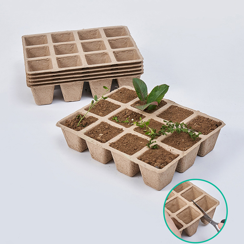 Seed Starter Tray - 5 pz 12 fori pianta vivaio