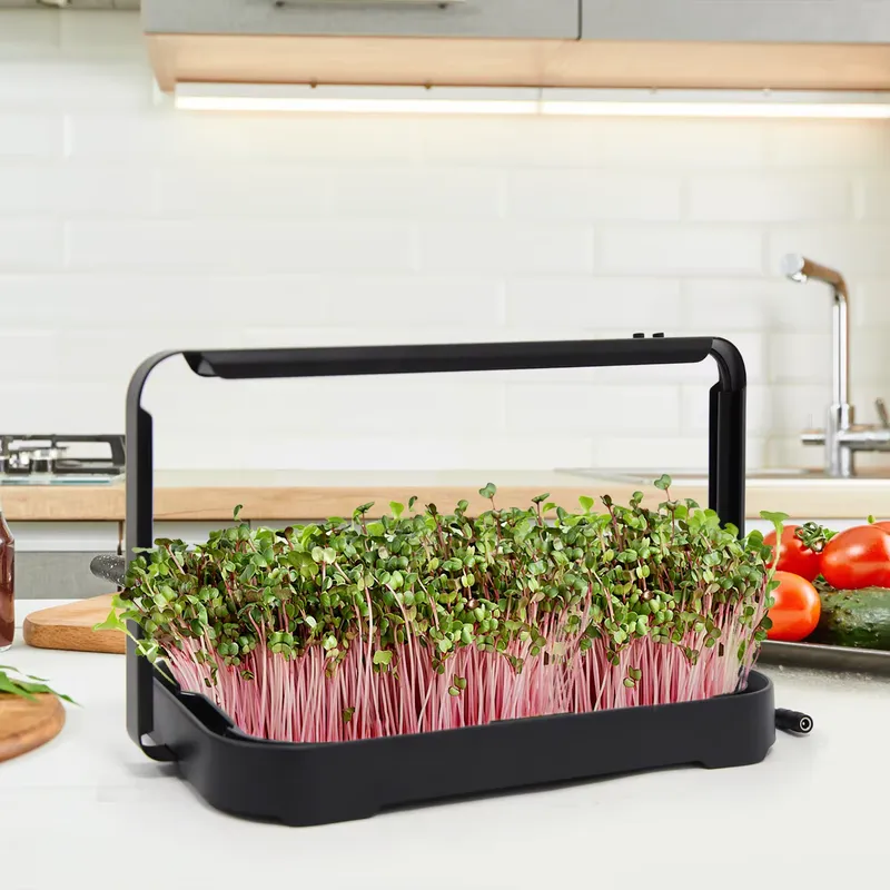 Hydroponic Kit - Vassoio Idroponico per Microgreens da Interno,