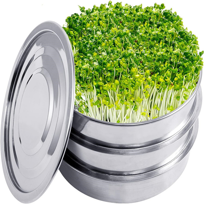 Hydroponic Kit - Kit per la germinazione delle piante