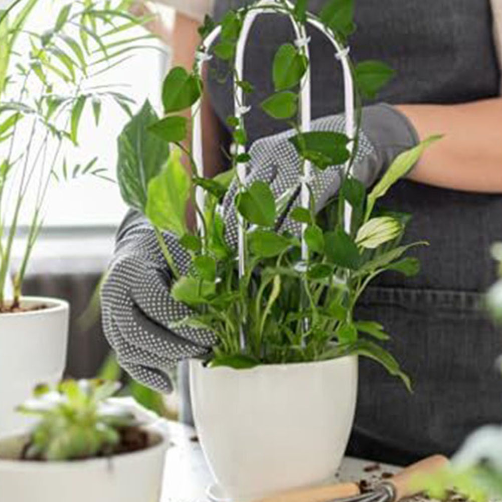 2 pezzi in acrilico a forma di - Indoor Herb Garden recensione e prezzo