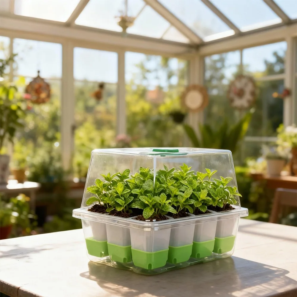 Vassoio per la coltivazione di - Seed Starter Tray recensione e prezzo