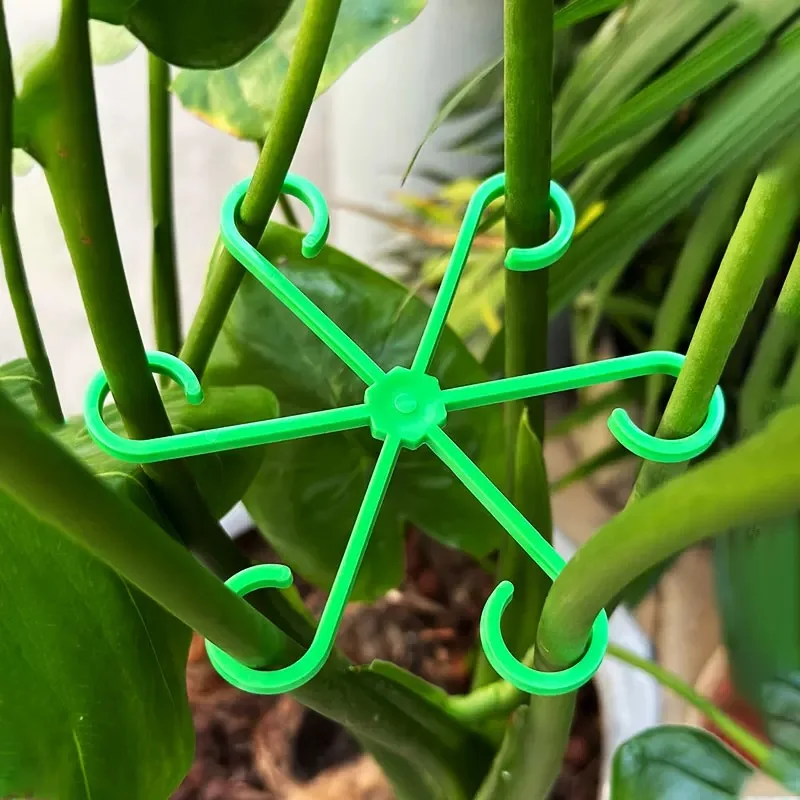 Picchetti di supporto per stel - Indoor Herb Garden recensione e prezzo