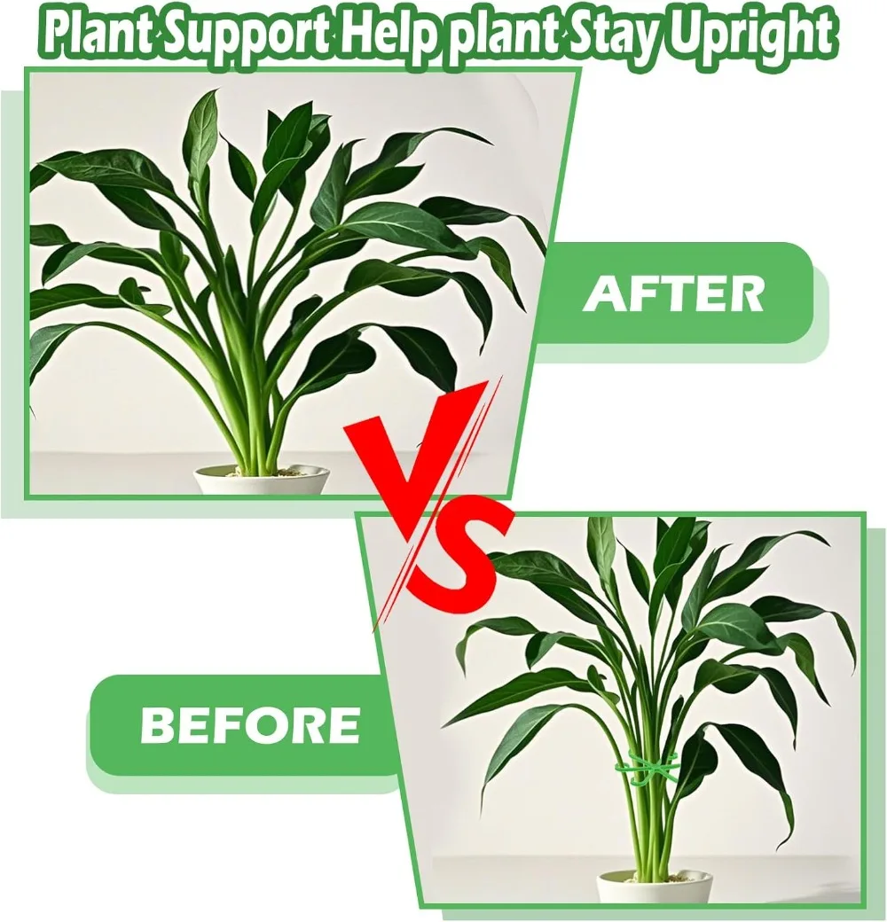 Picchetti di supporto per stel - Indoor Herb Garden recensione e prezzo