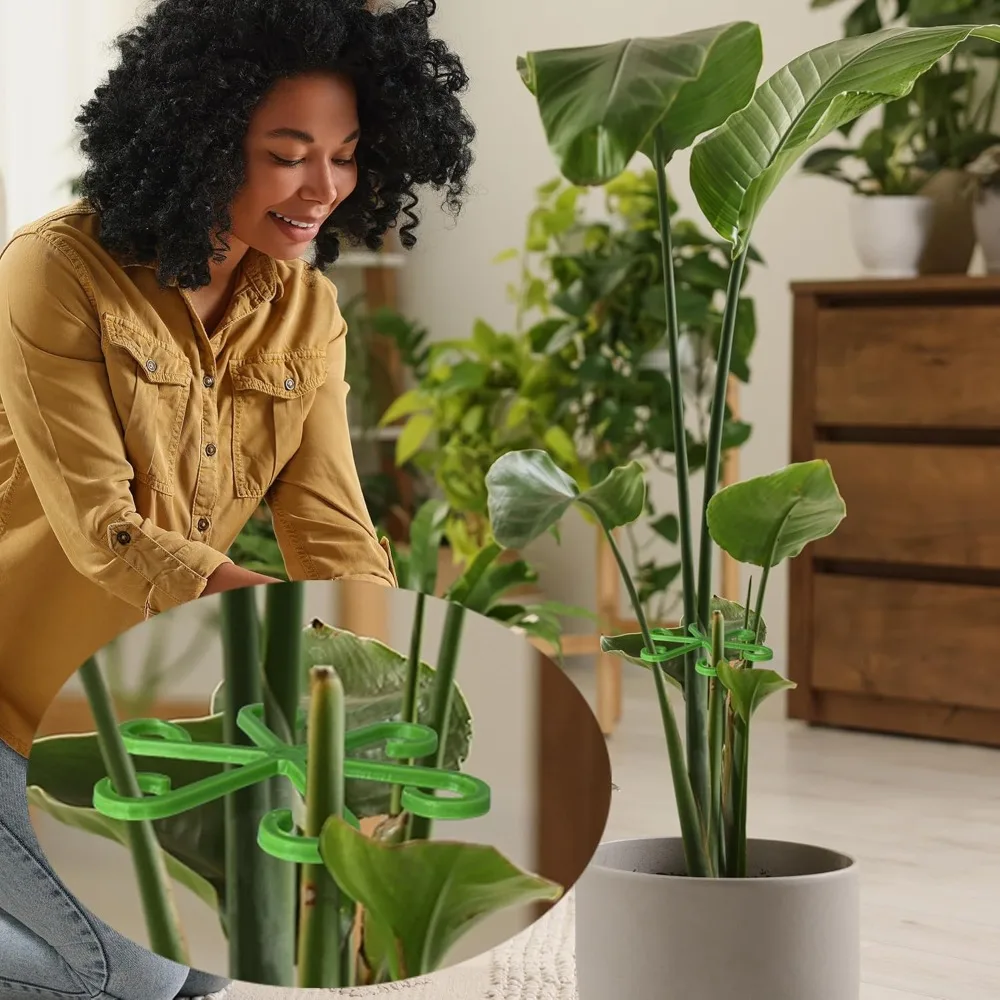 Picchetti di supporto per stel - Indoor Herb Garden recensione e prezzo