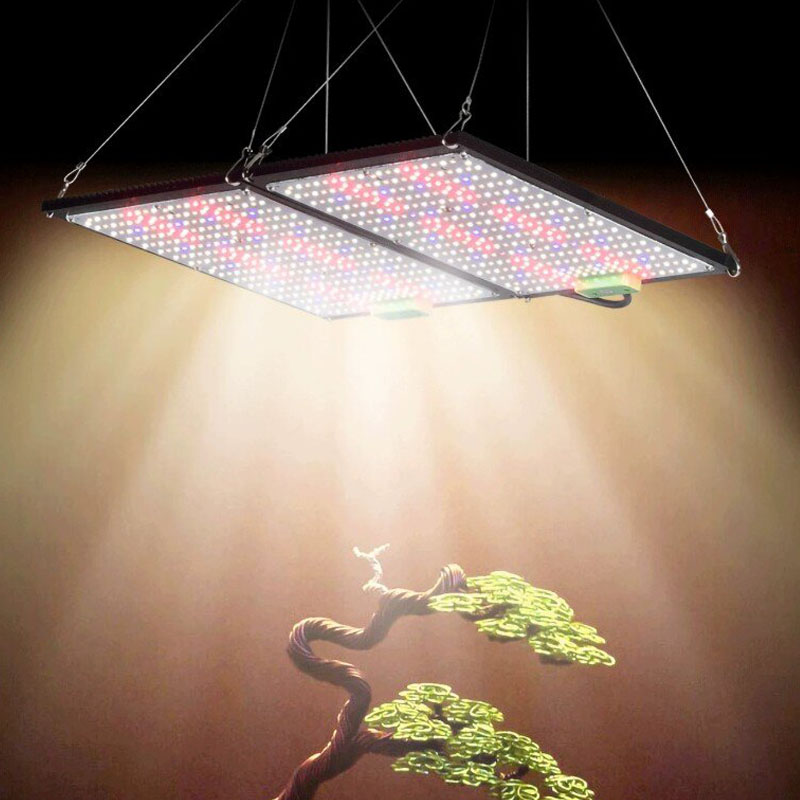 Lampada LED Quantum-Board per  - Grow Light Led recensione e prezzo