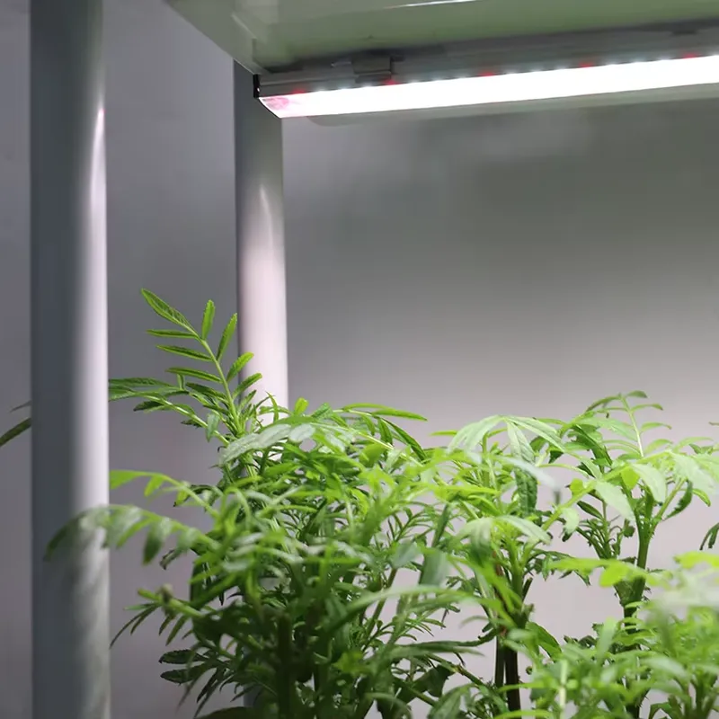 Sistema di Coltivazione Vertic - Indoor Herb Garden recensione e prezzo