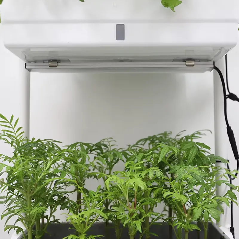 Sistema di Coltivazione Vertic - Indoor Herb Garden recensione e prezzo