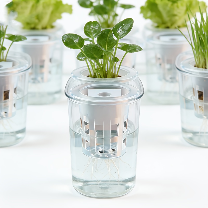 Set di 10 cestini per piantine - Seed Starter Tray recensione e prezzo