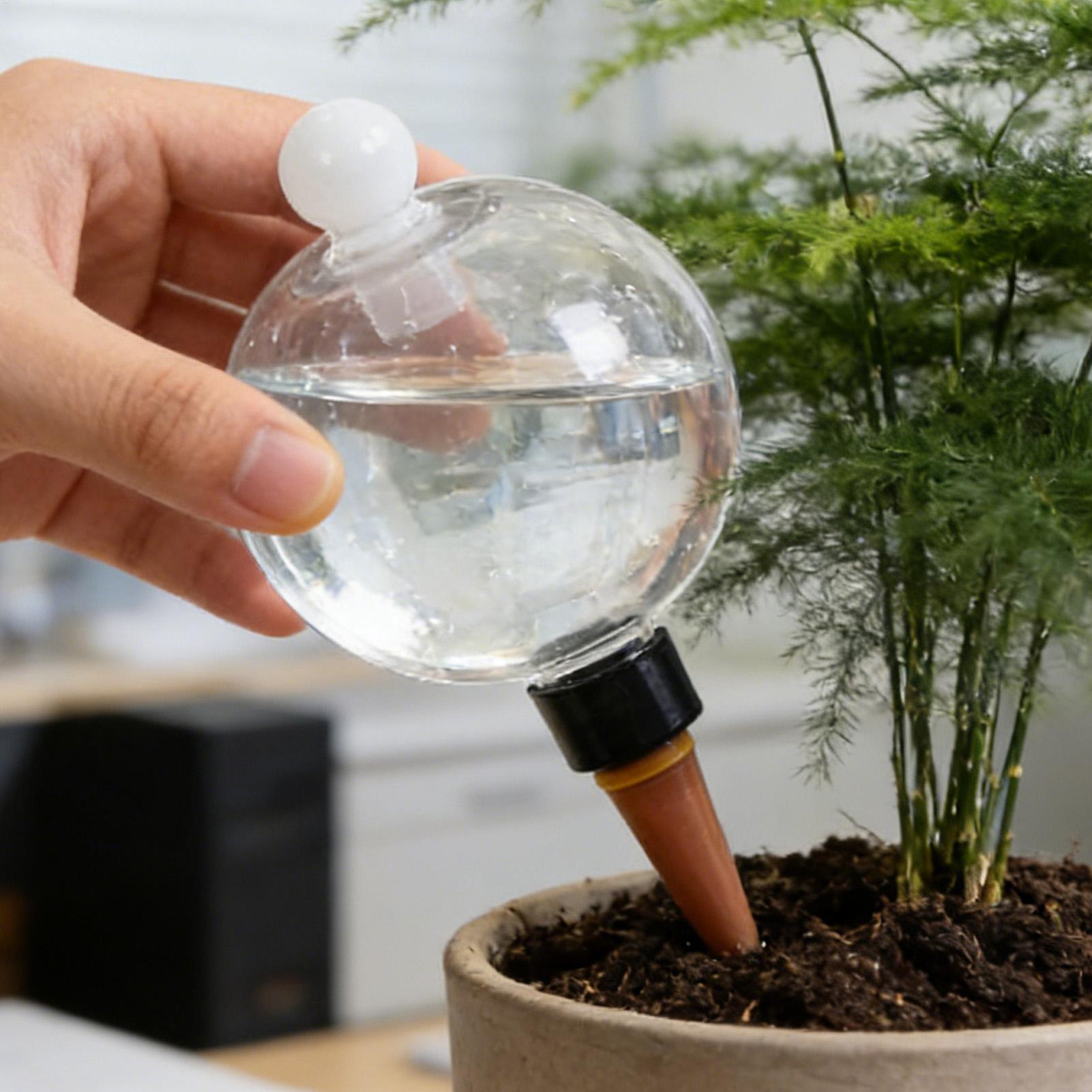 Globi per Irrigazione Piante 4 - Self Watering Planter recensione e prezzo