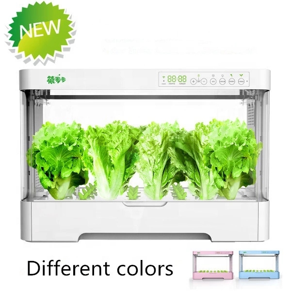 Piccolo Armadio in Plastica In - Hydroponic Kit recensione e prezzo