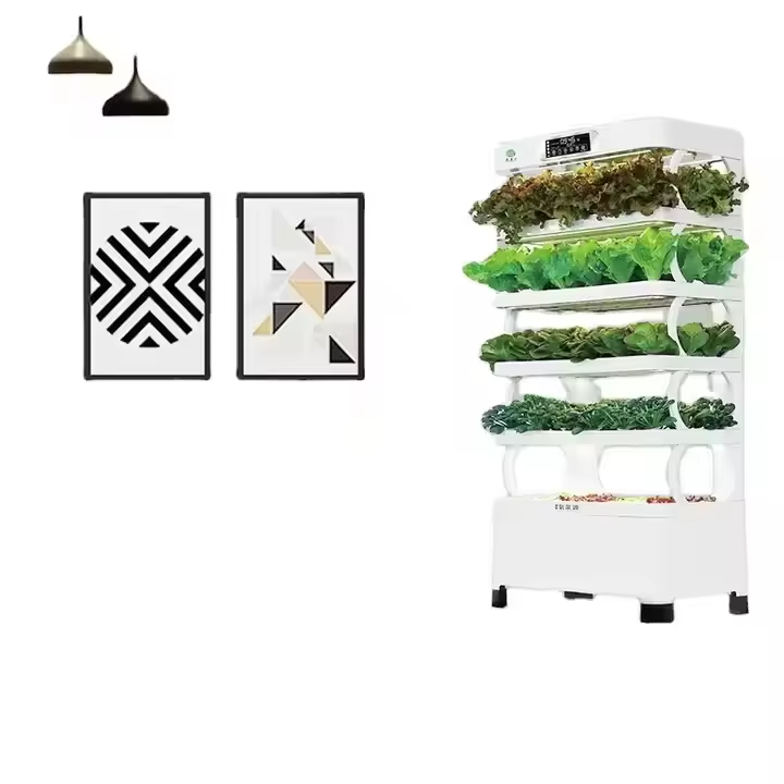 Kit Idroponico Familiare con L - Hydroponic Kit recensione e prezzo