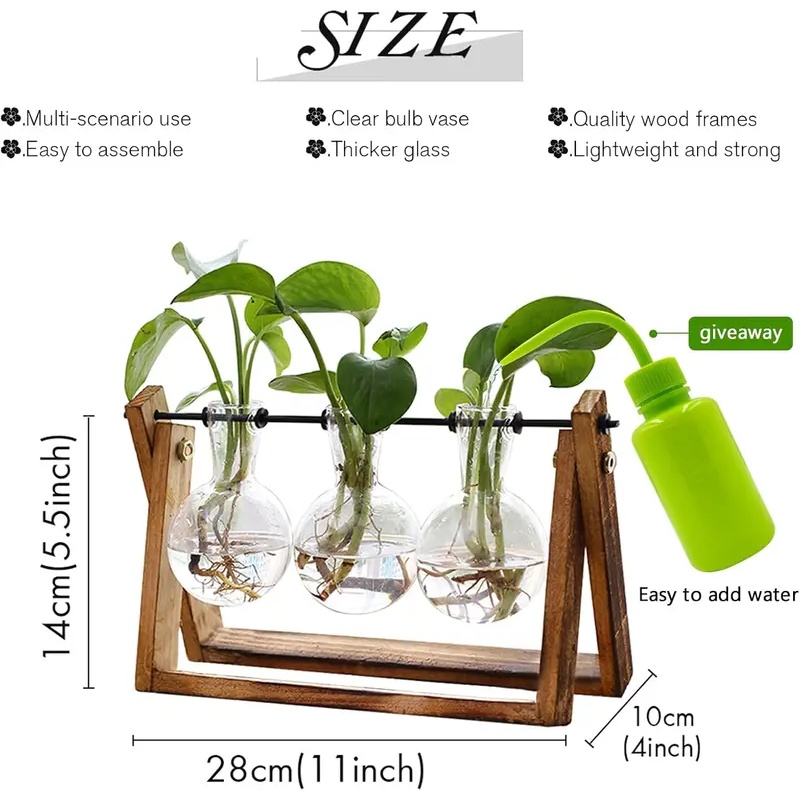 Kit Terrario Idroponico con Su - Hydroponic Kit recensione e prezzo