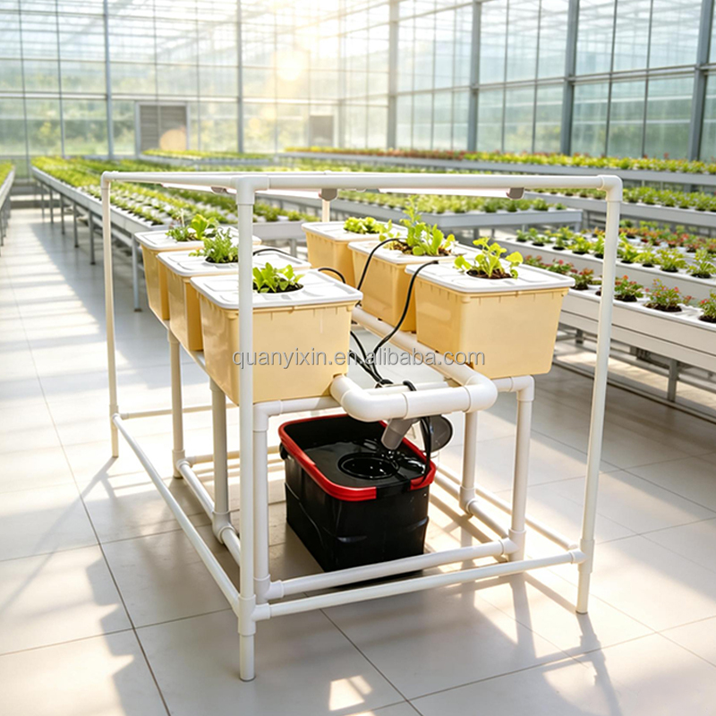 Kit Sistema Idroponico Dutch B - Hydroponic Kit recensione e prezzo