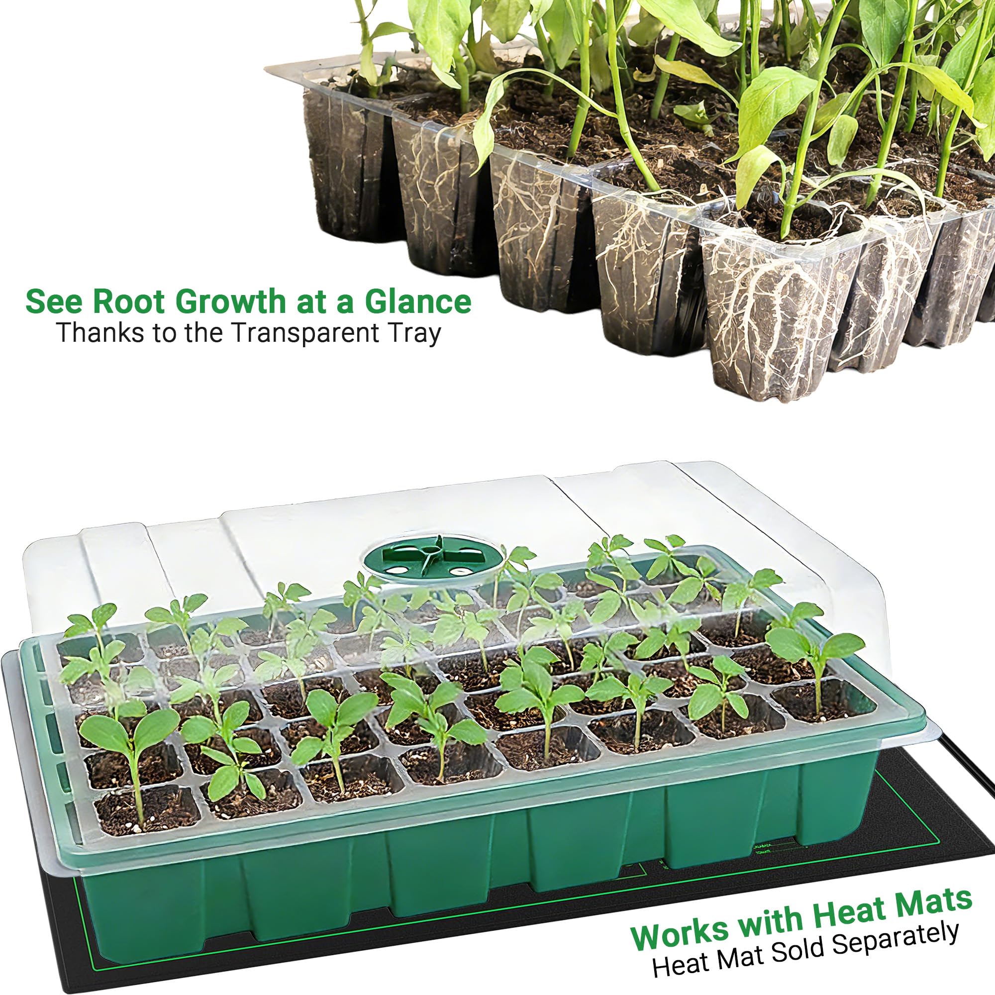 Serra con copertura trasparent - Seed Starter Tray recensione e prezzo