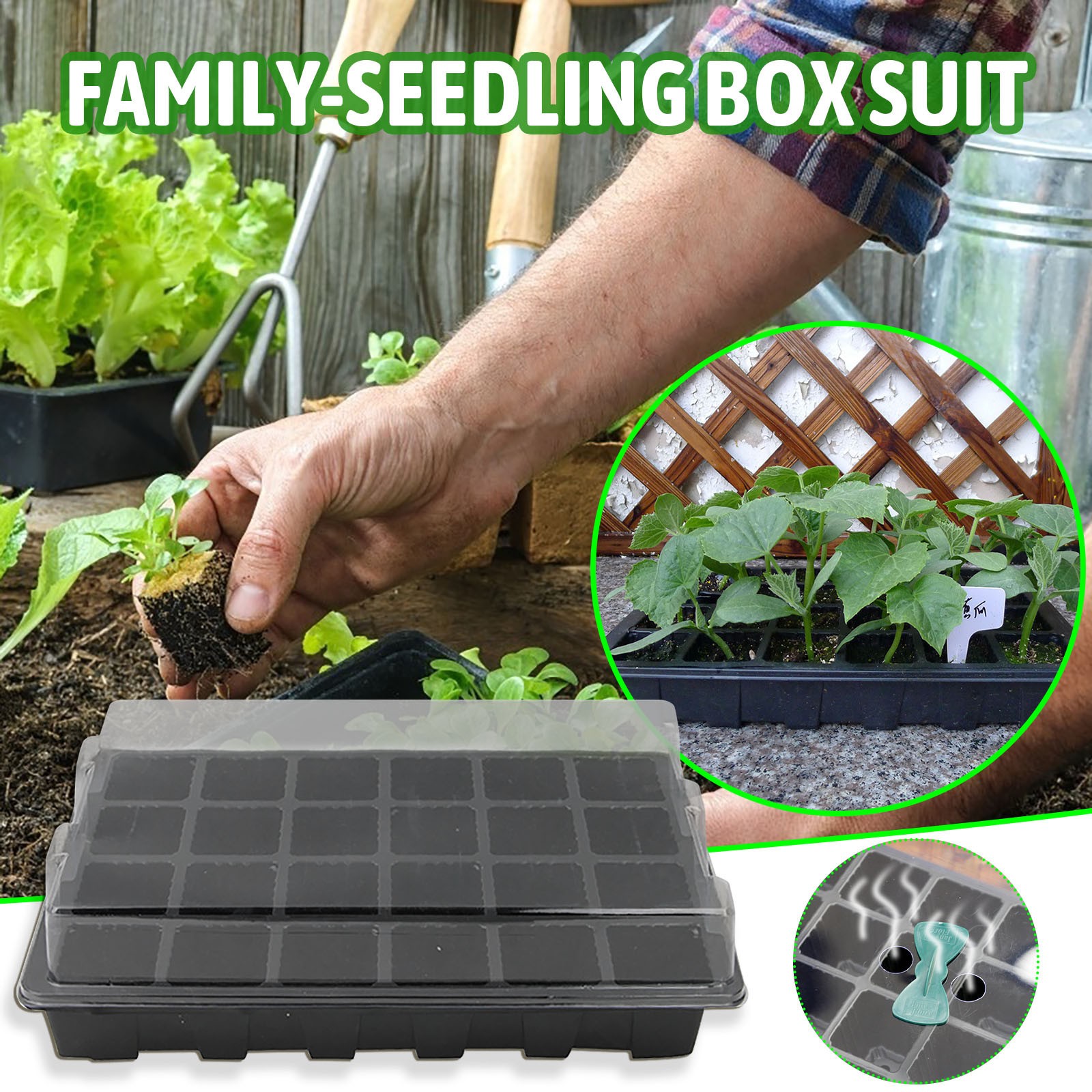 Scatola per la germinazione de - Seed Starter Tray recensione e prezzo