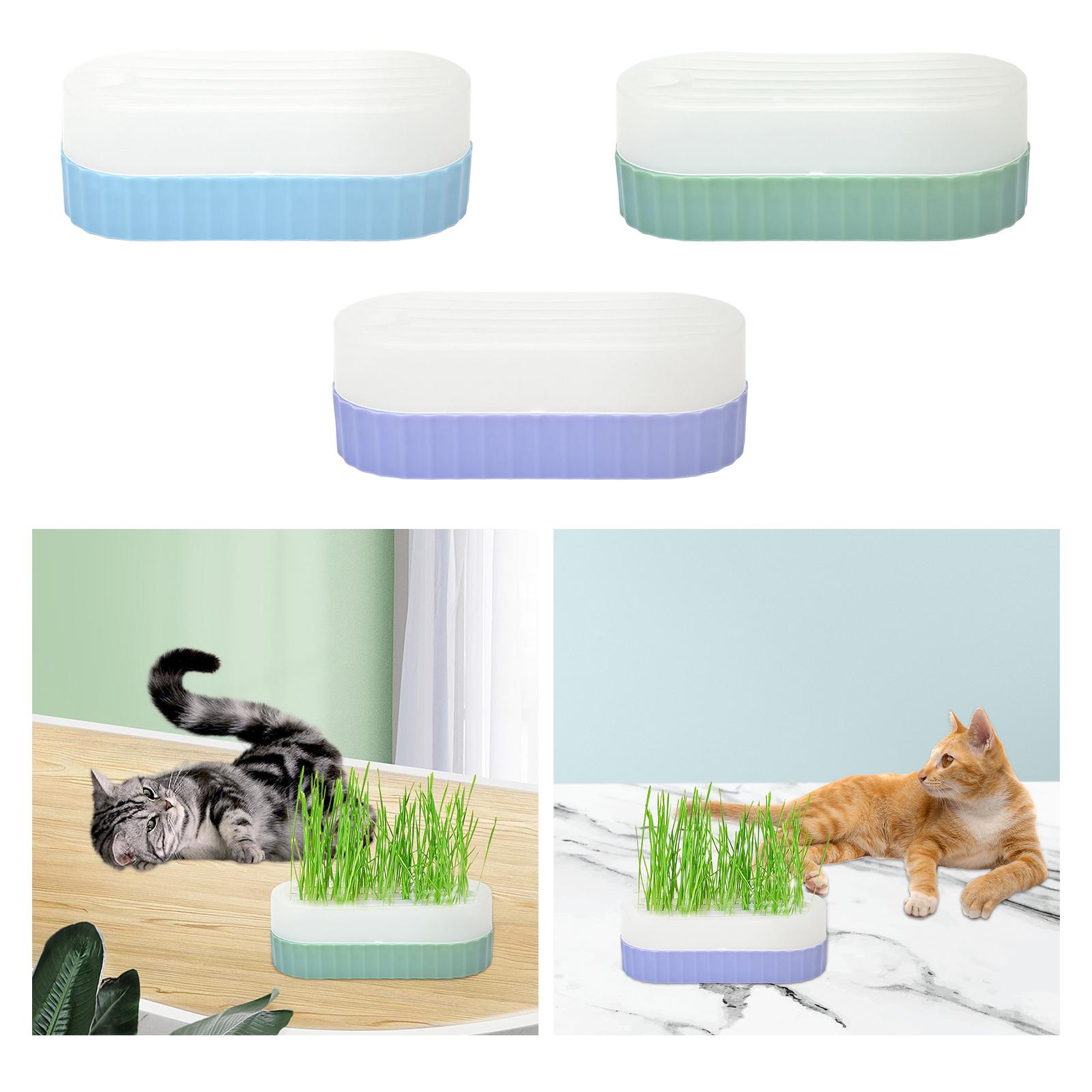 Vassoio per la germinazione de - Hydroponic Kit recensione e prezzo