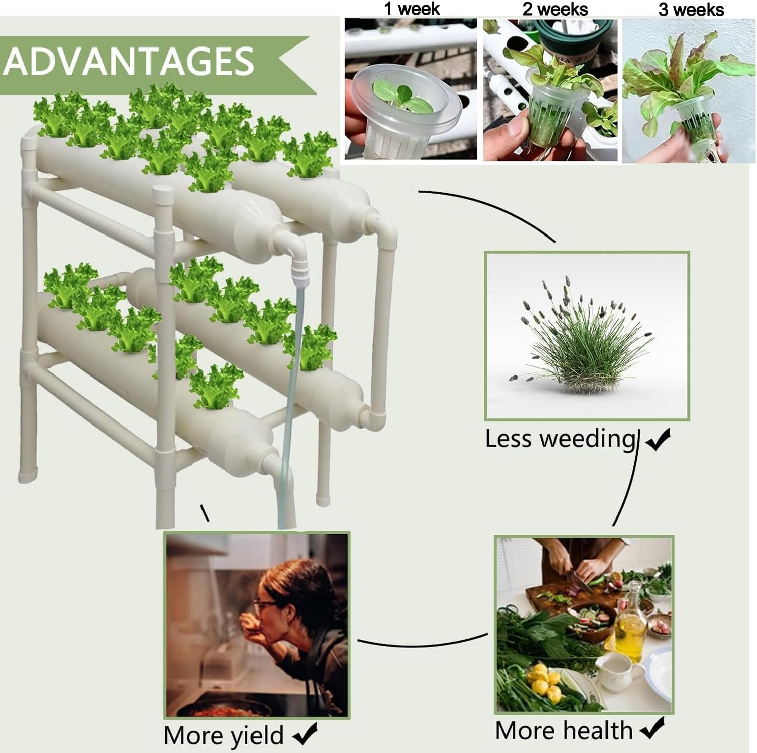Sistema di Coltivazione Idropo - Hydroponic Kit recensione e prezzo