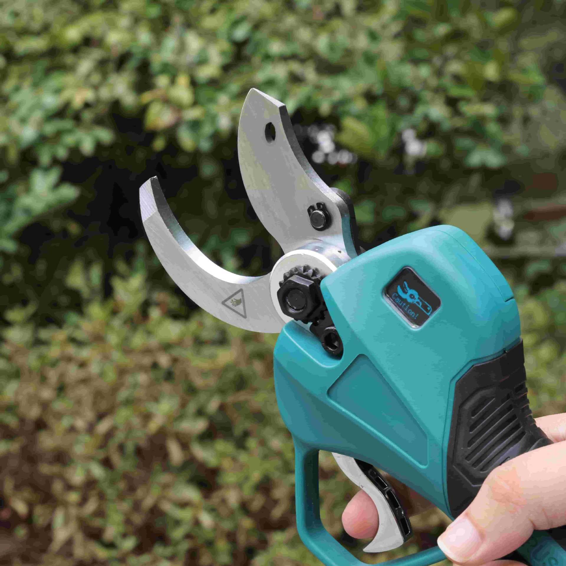 Forbici da potatura per alberi - Pruning Shears recensione e prezzo