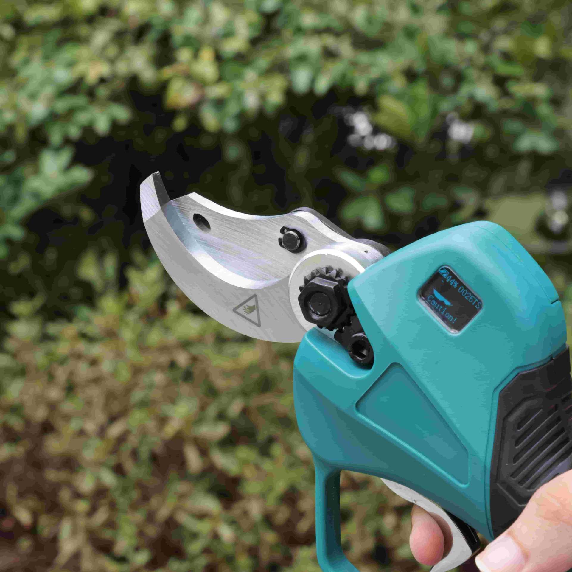 Forbici da potatura per alberi - Pruning Shears recensione e prezzo