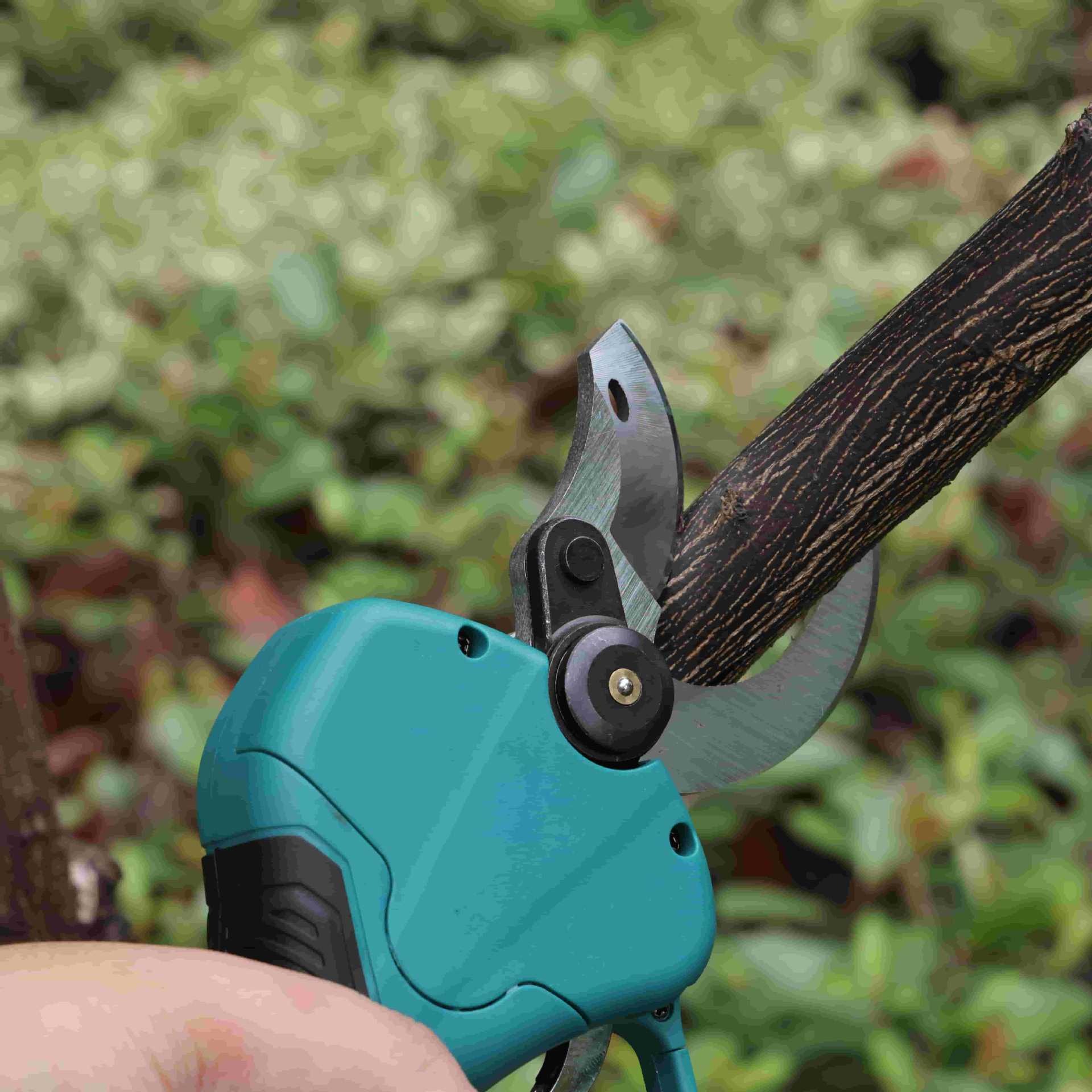 Forbici da potatura per alberi - Pruning Shears recensione e prezzo