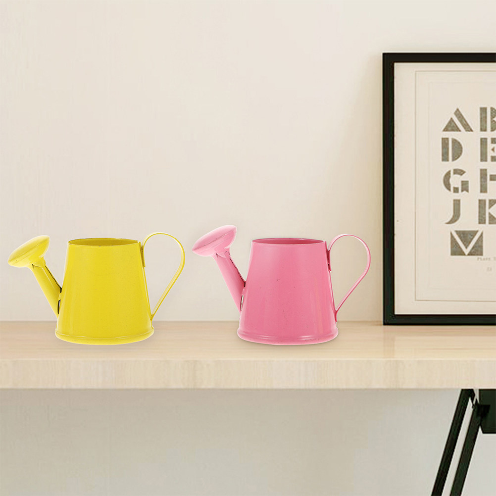 4 Pezzi Mini Annaffiatoio da G - Watering Can recensione e prezzo