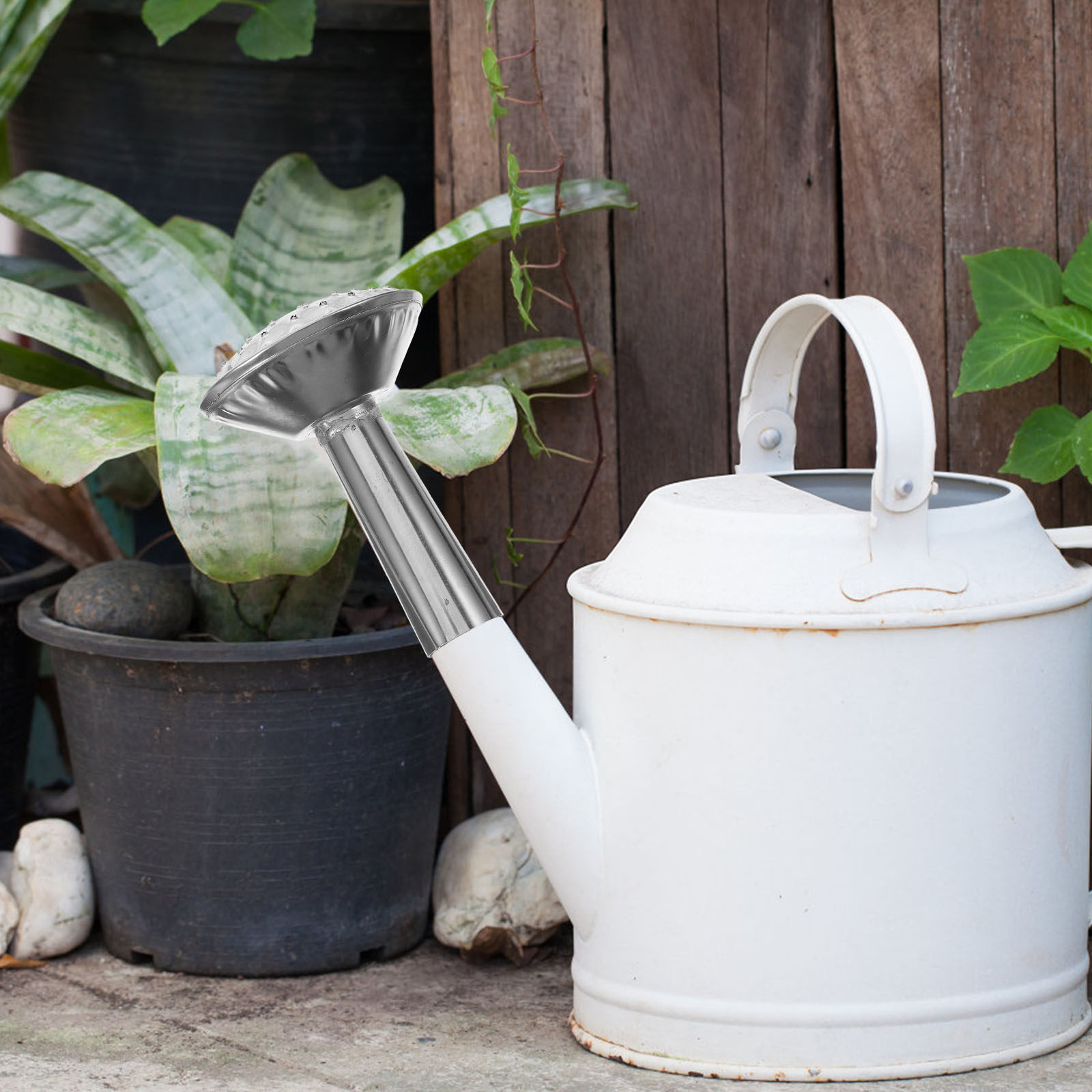 Testina irroratrice in acciaio - Watering Can recensione e prezzo