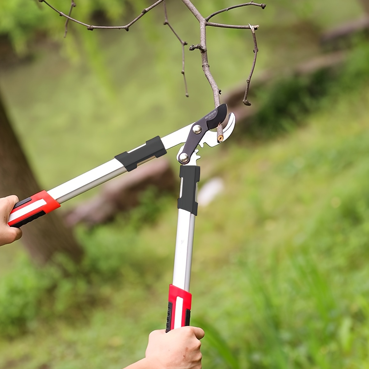 Forbici da Potatura Profession - Pruning Shears recensione e prezzo
