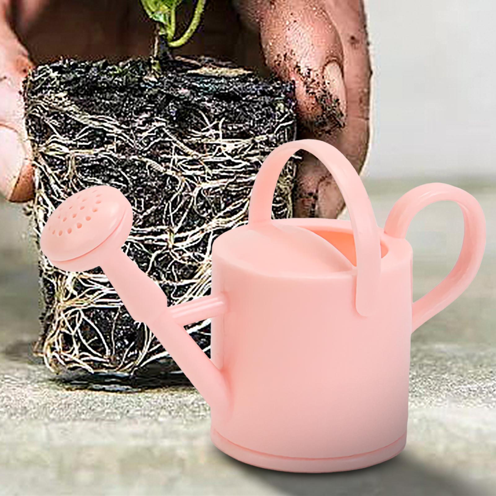 Mini annaffiatoio da giardinag - Watering Can recensione e prezzo