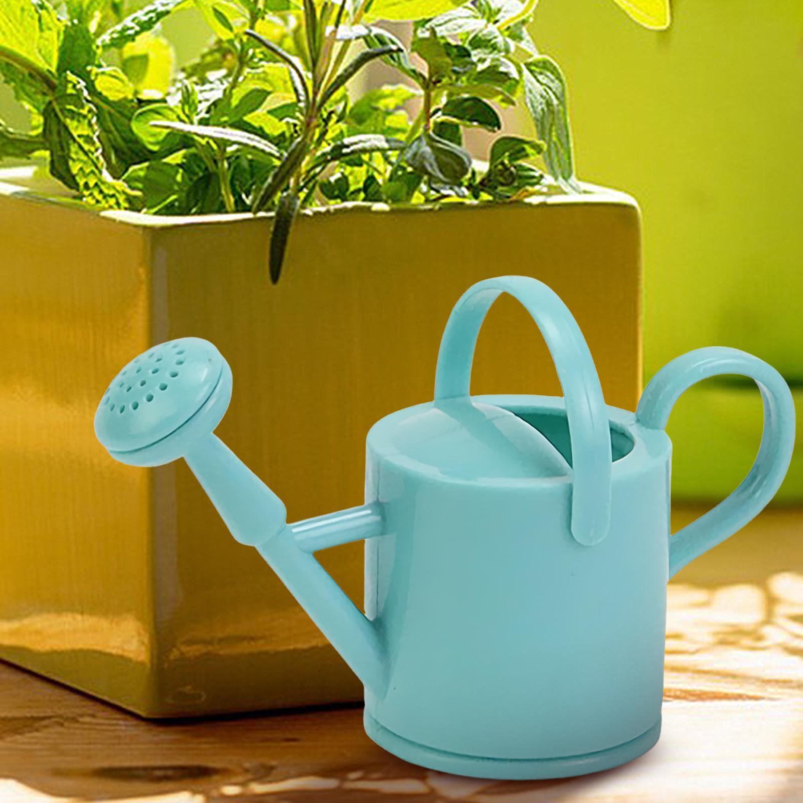 Mini annaffiatoio da giardinag - Watering Can recensione e prezzo