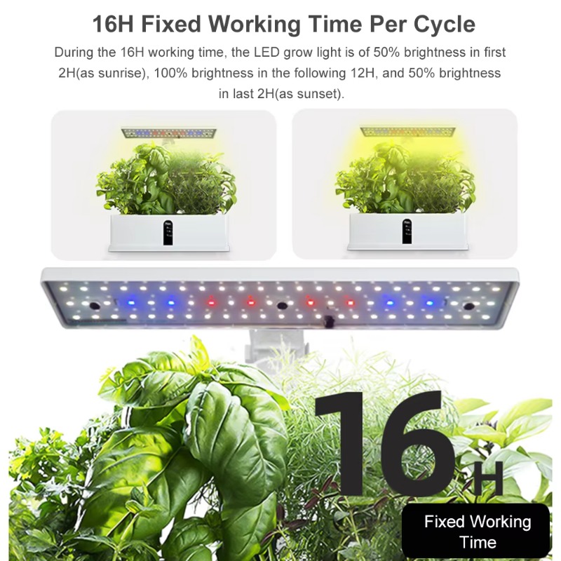 Sistema di Coltivazione Idropo - Grow Light Led recensione e prezzo