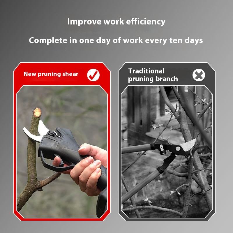 Cesoie elettriche da potatura  - Pruning Shears recensione e prezzo