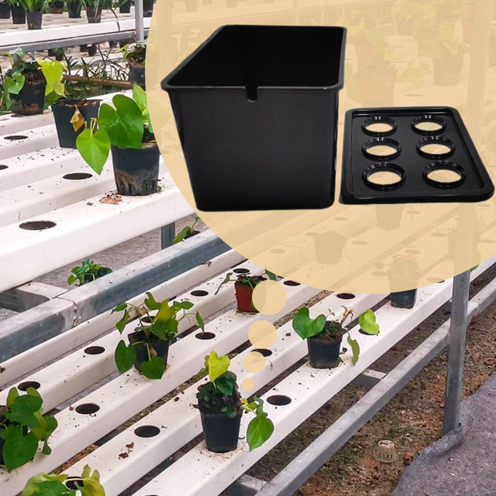 Kit per piantare idroponico At - Hydroponic Kit recensione e prezzo