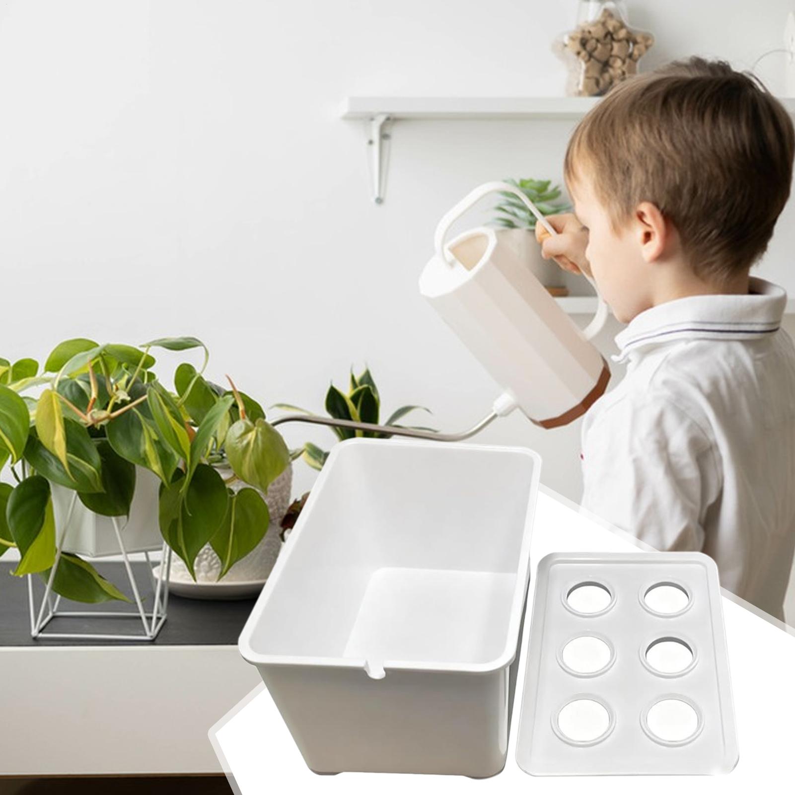 Kit per piantare idroponico At - Hydroponic Kit recensione e prezzo