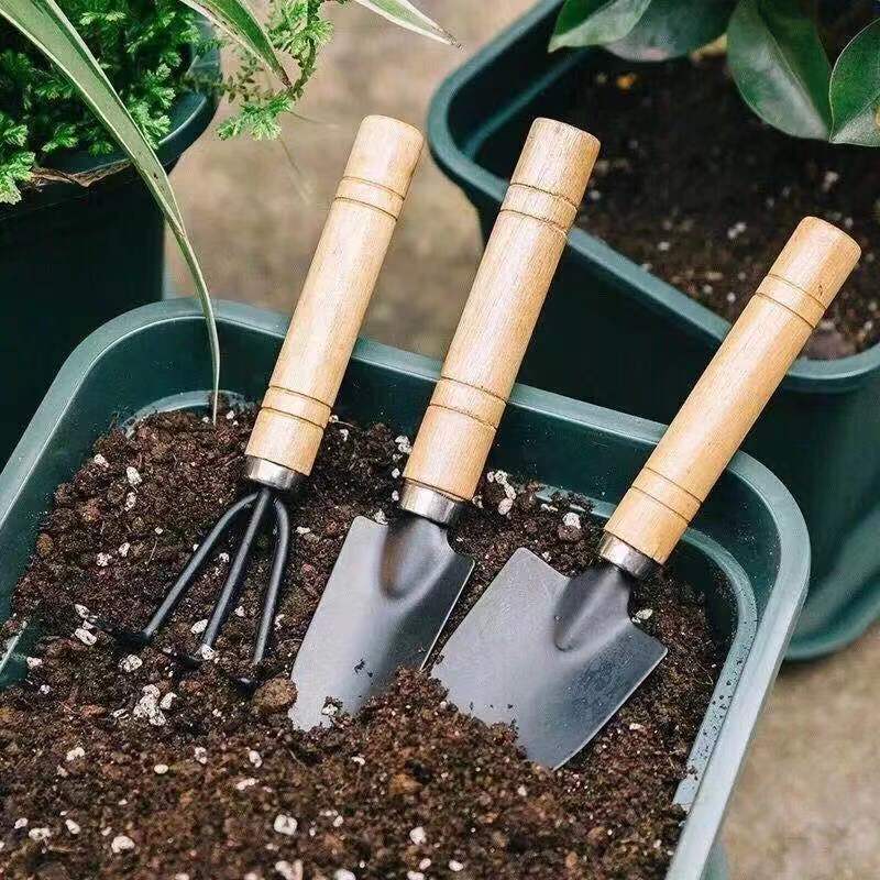 3PC/1Set Mini Attrezzi da giar - Indoor Herb Garden recensione e prezzo