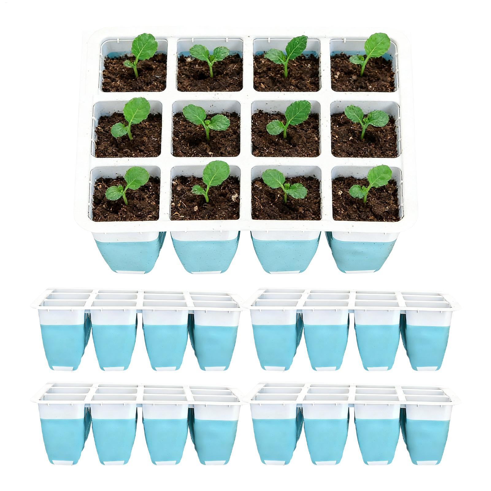 Set di 5 Vassoi in Silicone pe - Seed Starter Tray recensione e prezzo