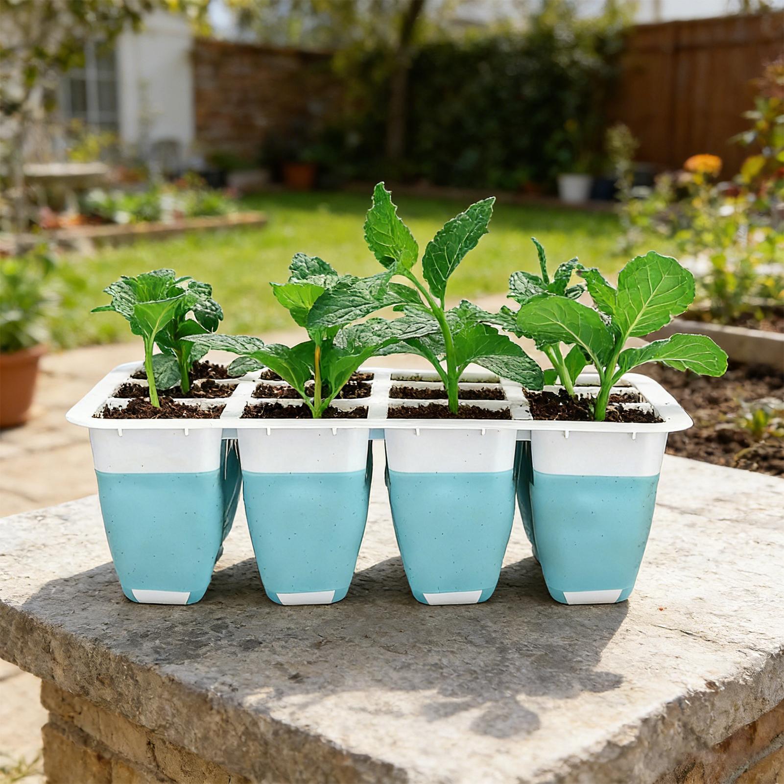 Set di 5 Vassoi in Silicone pe - Seed Starter Tray recensione e prezzo
