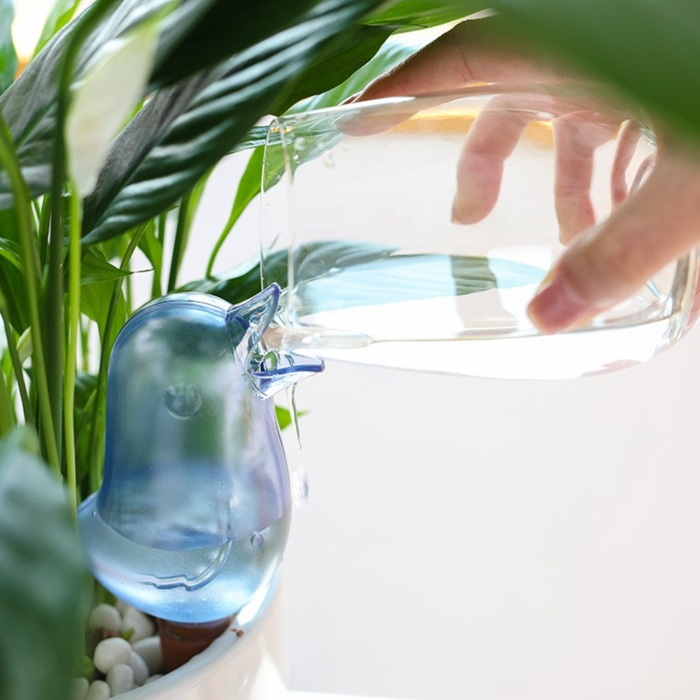 Dispositivo di irrigazione aut - Self Watering Planter recensione e prezzo