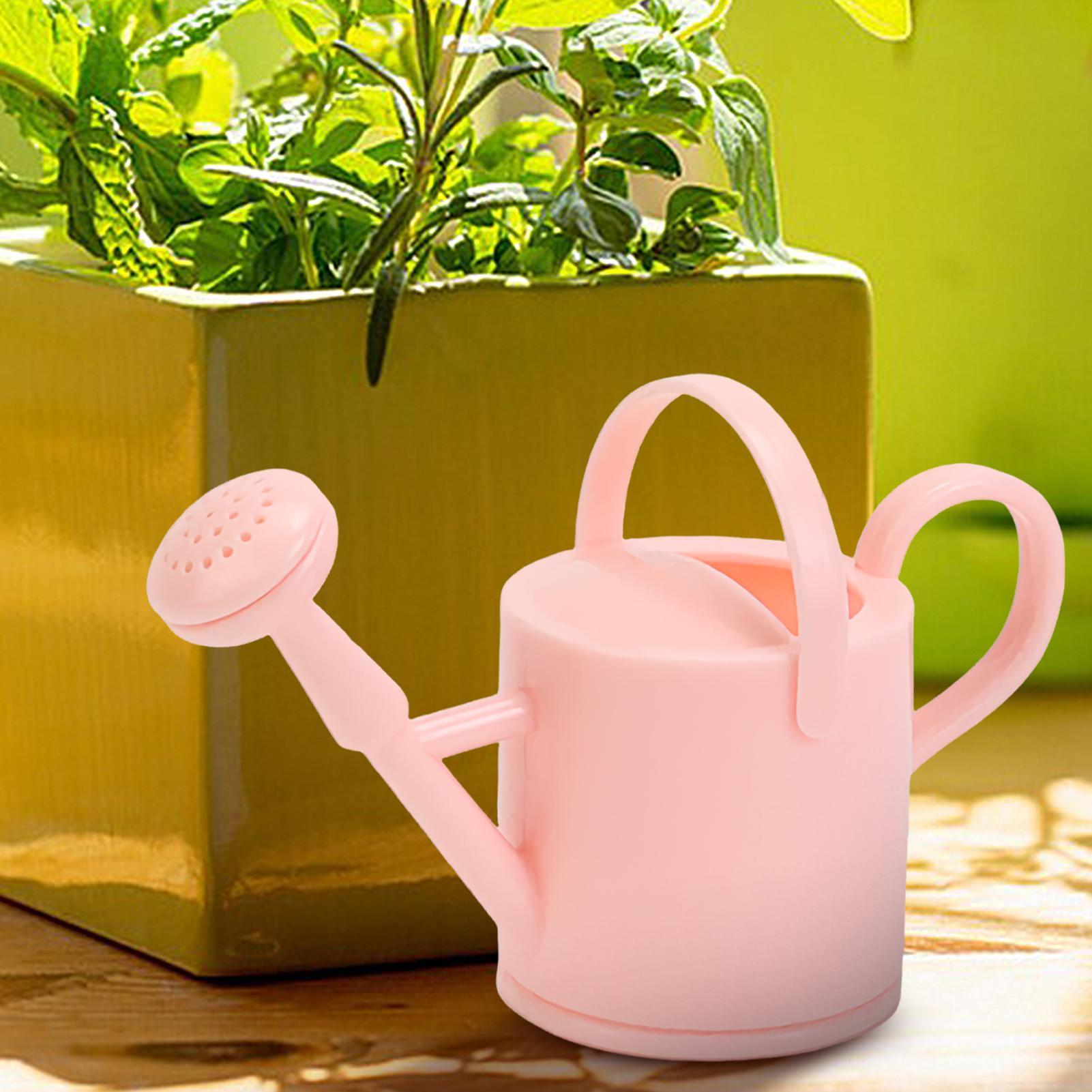 Piccolo annaffiatoio per bambi - Watering Can recensione e prezzo