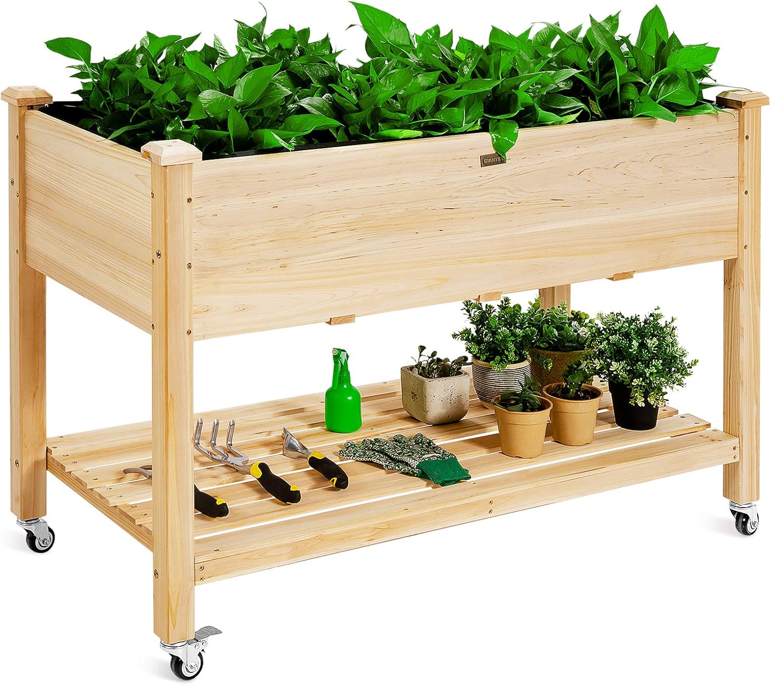Fioriera rialzata in legno su  - Raised Garden Bed recensione e prezzo