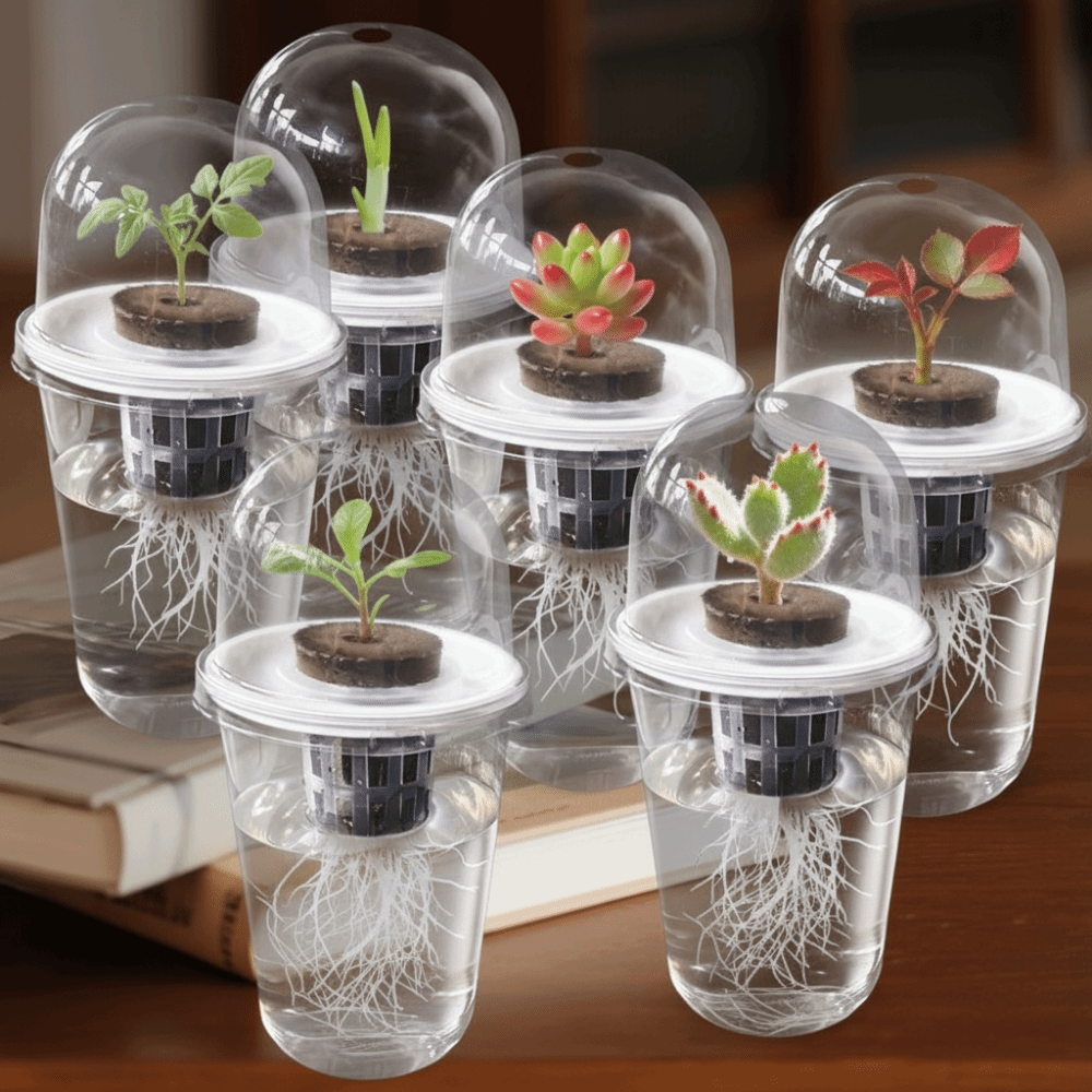 1-5 Pezzi Vasi Trasparenti per - Seed Starter Tray recensione e prezzo