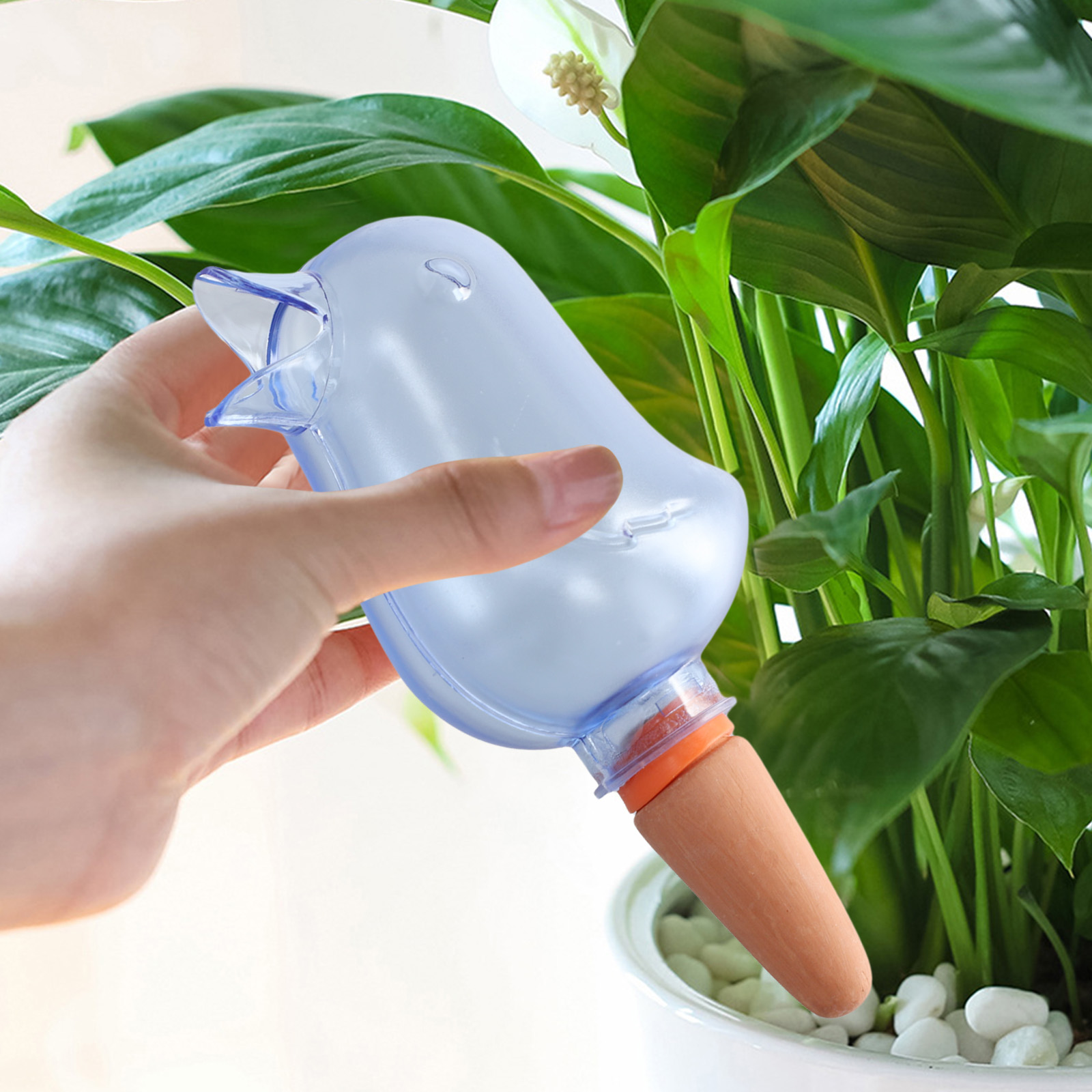 Sistema automatico di irrigazi - Self Watering Planter recensione e prezzo