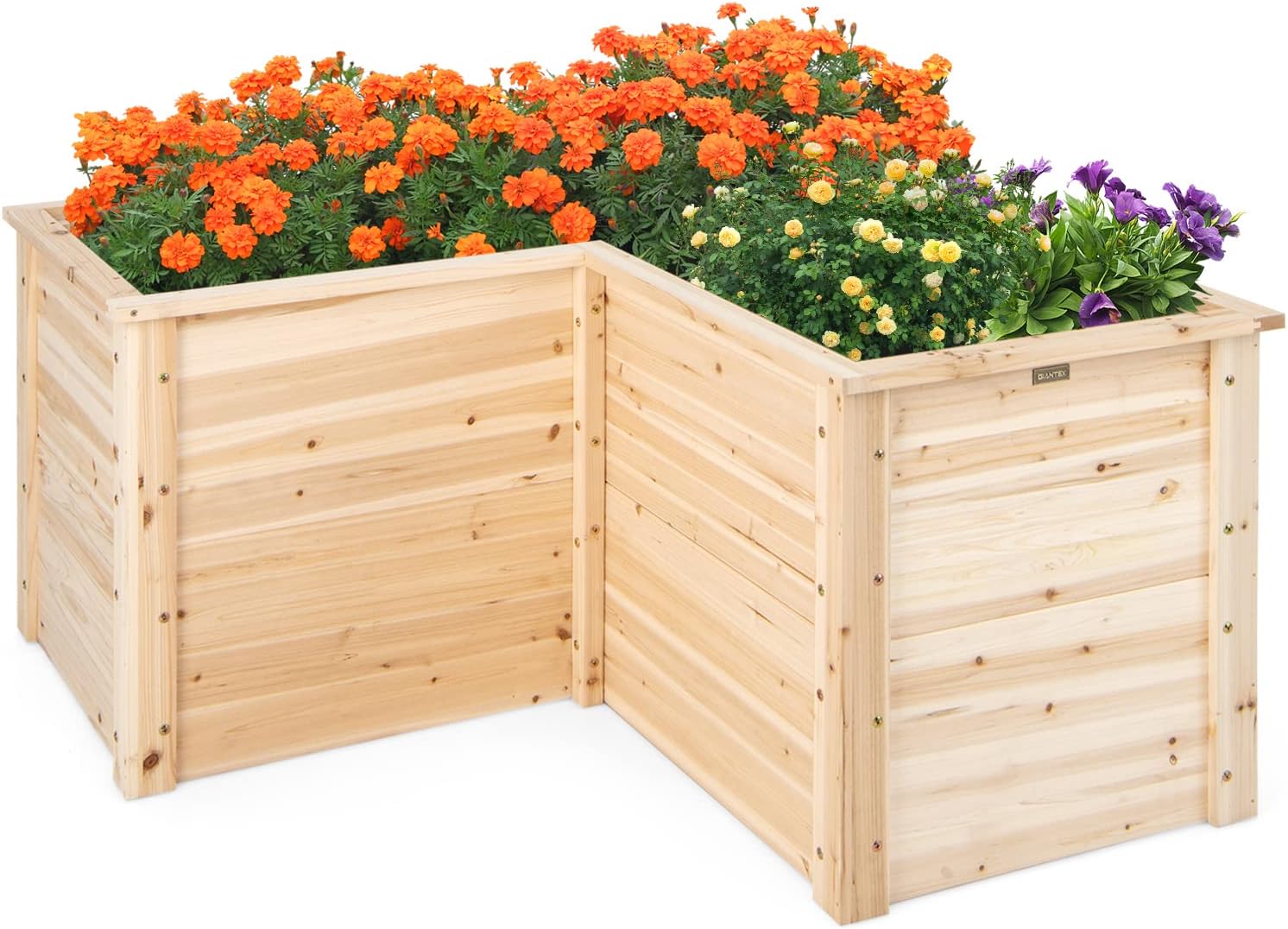 Fioriera rialzata in legno mas - Raised Garden Bed recensione e prezzo