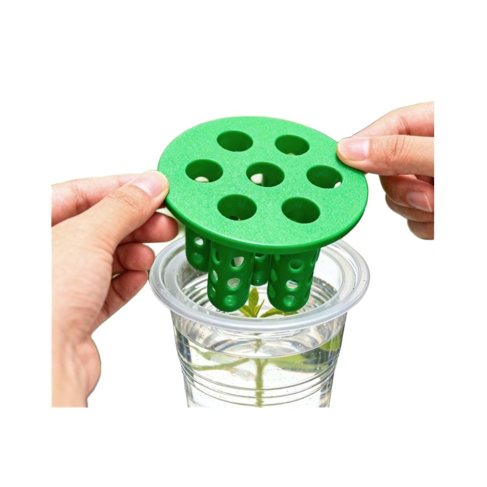 4 kit per la ricrescita delle  - Hydroponic Kit recensione e prezzo