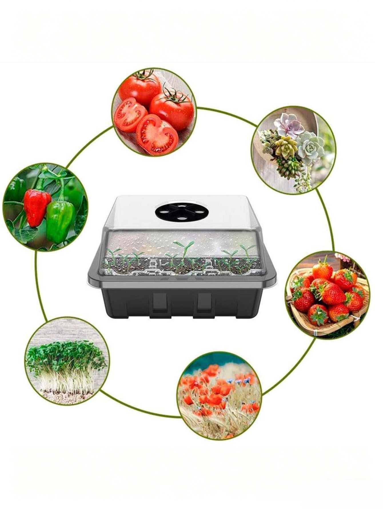 Vassoio per piantine da 1/2 pe - Seed Starter Tray recensione e prezzo