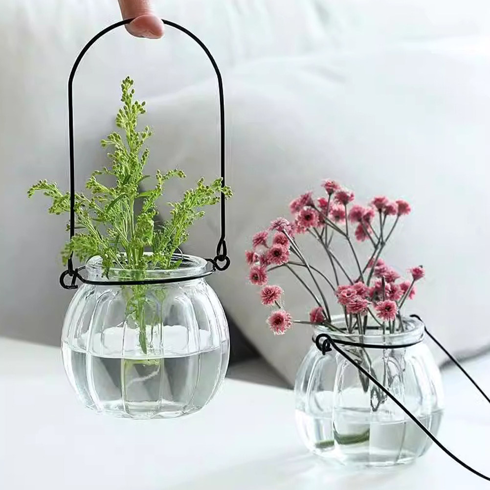 6 pezzi Vaso idroponico in vet - Vertical Planter recensione e prezzo