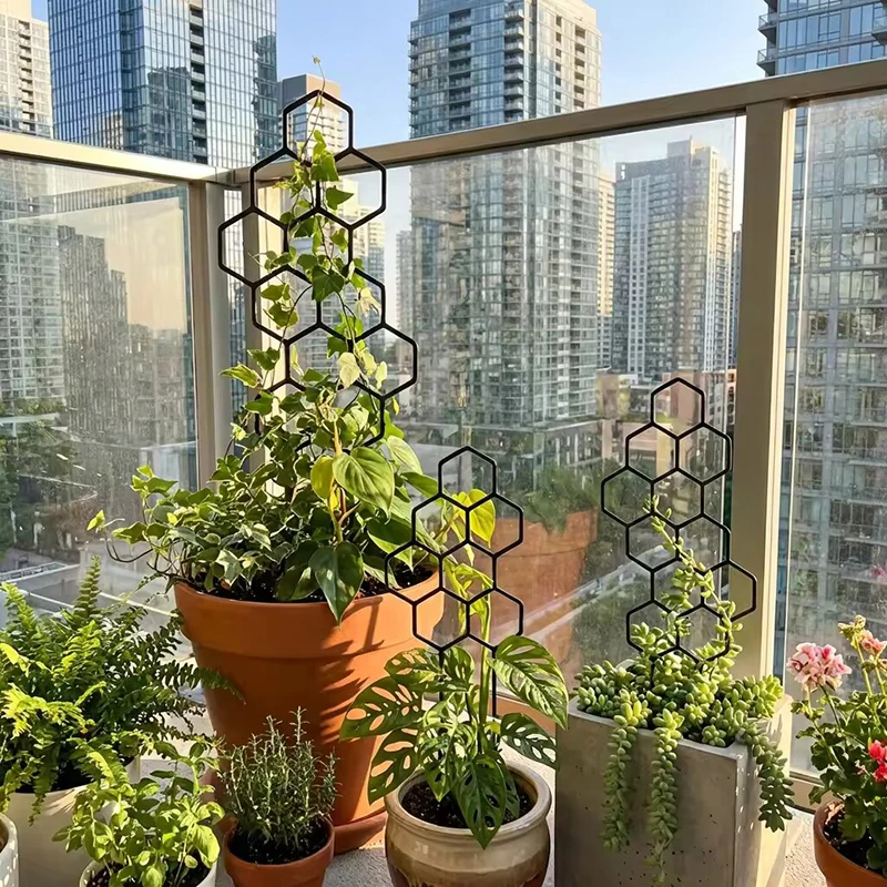 Supporto per Piante Rampicanti - Indoor Herb Garden recensione e prezzo