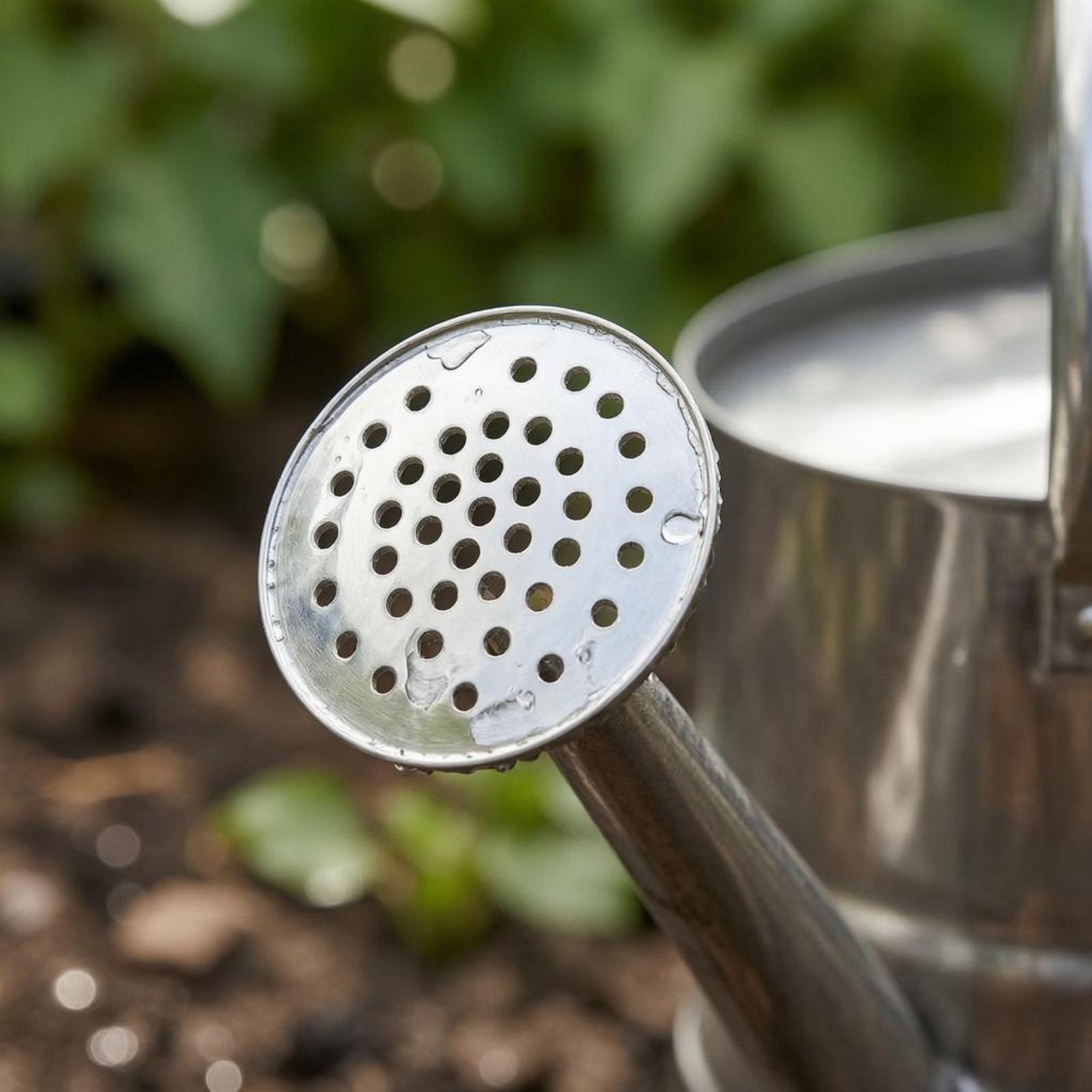 Annaffiatoio da Giardino in Ac - Watering Can recensione e prezzo