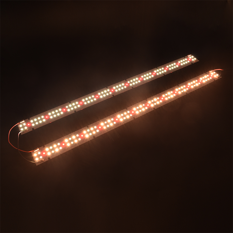 Lampada LED COB per Coltivazio - Grow Light Led recensione e prezzo