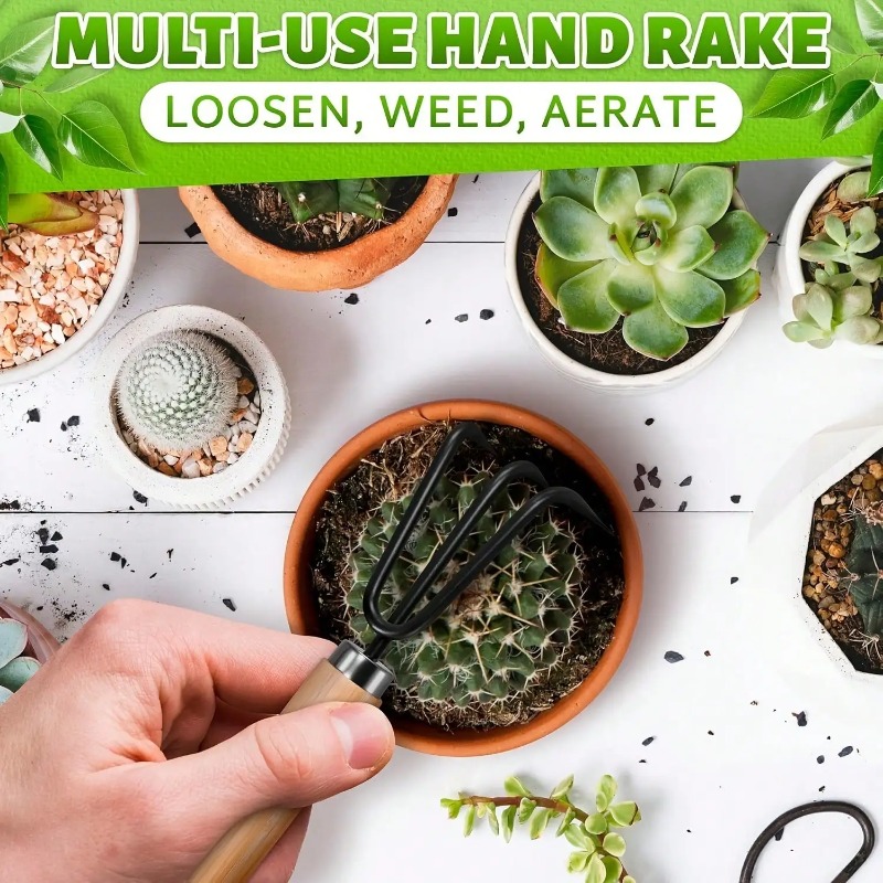 Set di 3 Pezzi/1 Set di Mini A - Indoor Herb Garden recensione e prezzo
